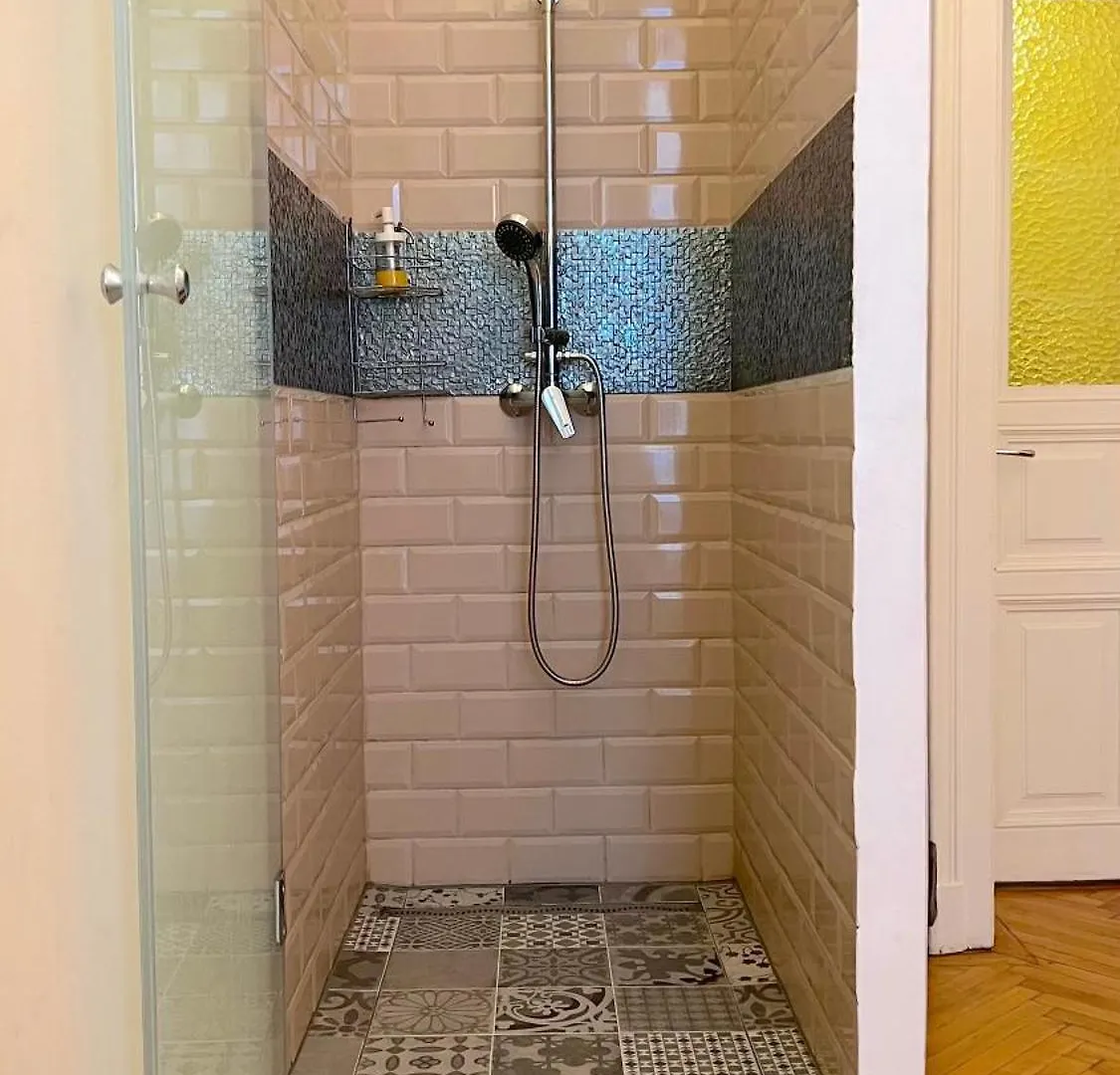 Apartment Guesthouse In Ferenciek Square Budapest